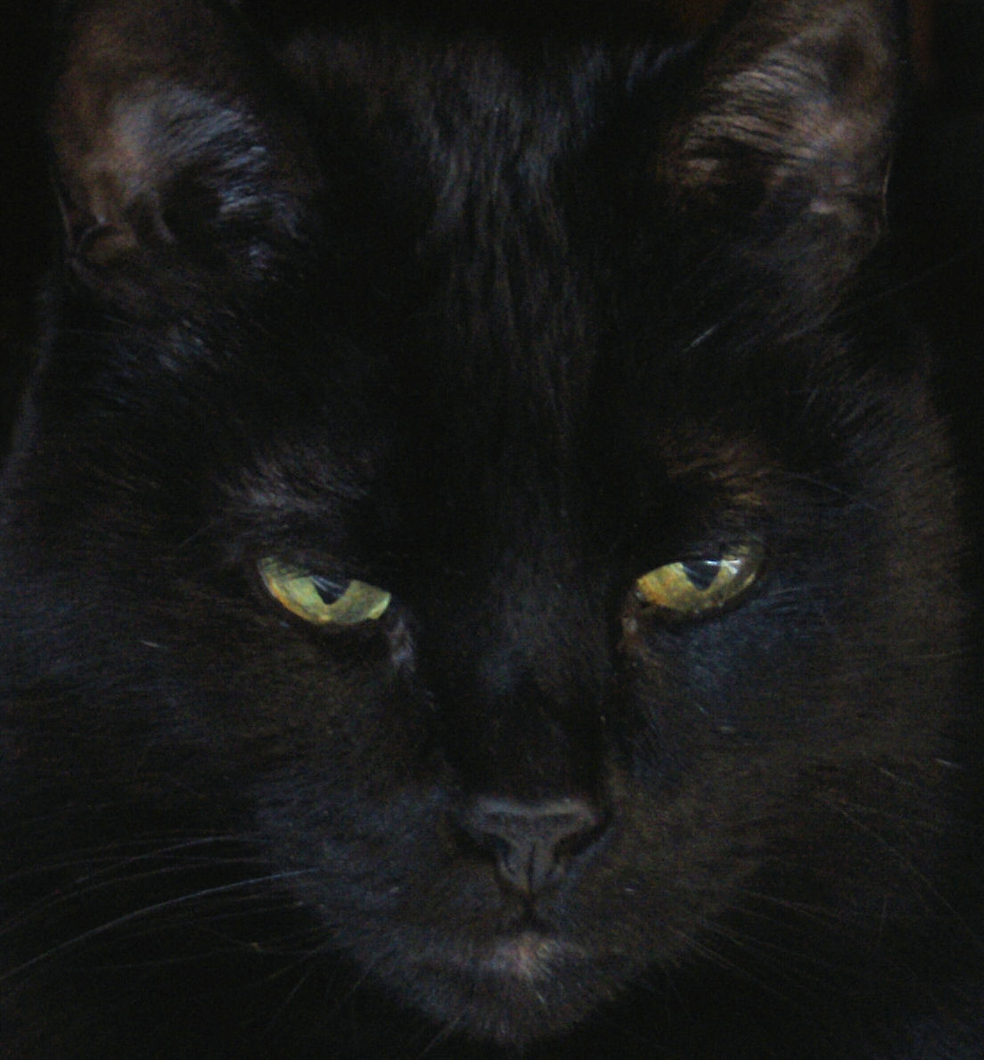 Intensity