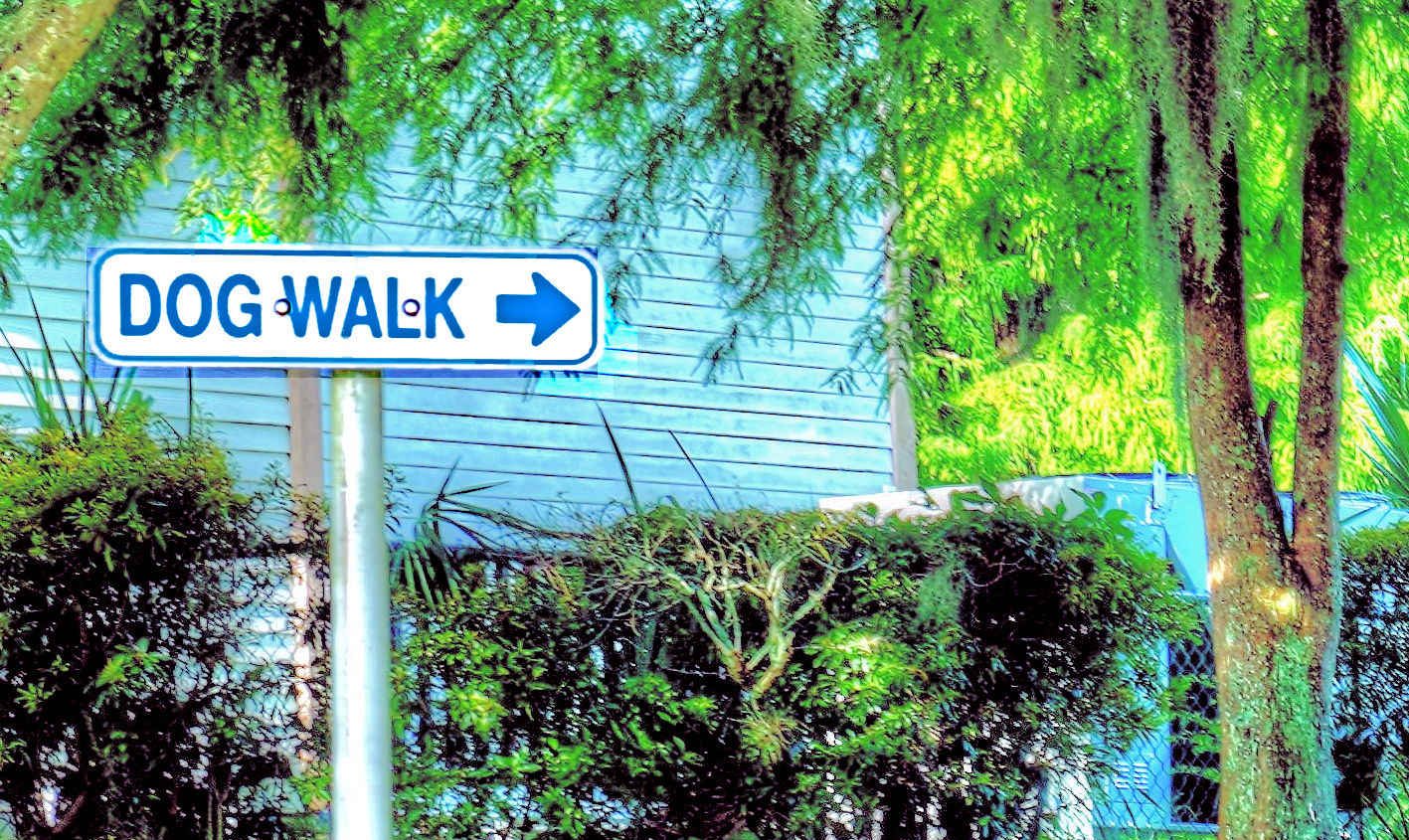 Dog Walking Darwin Award