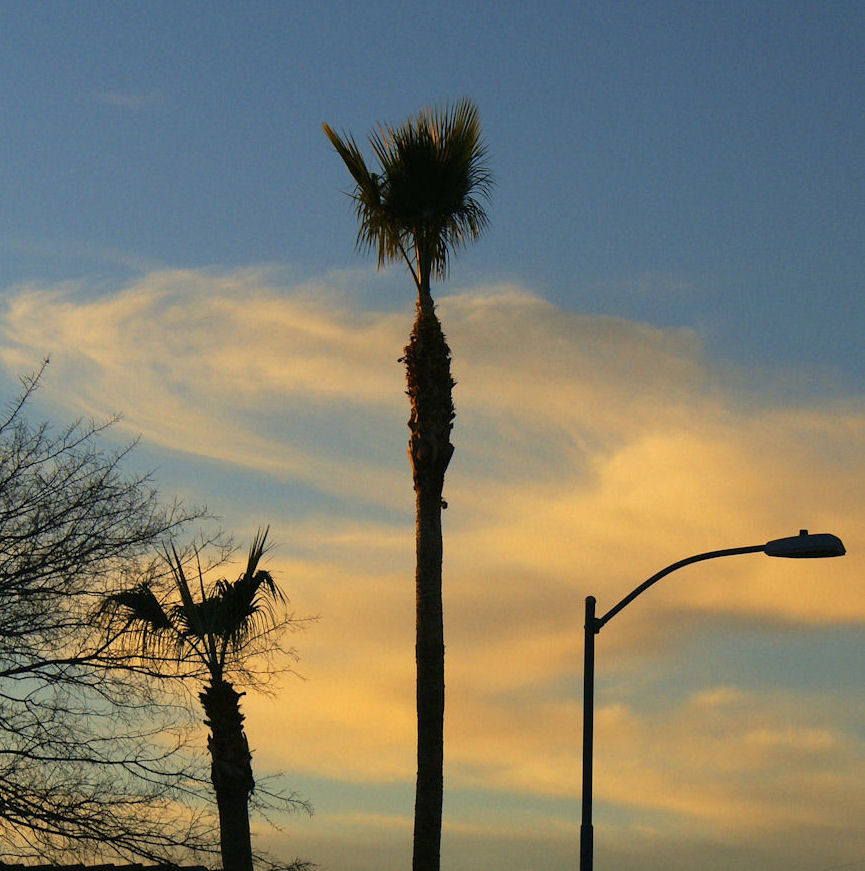 Day’s End