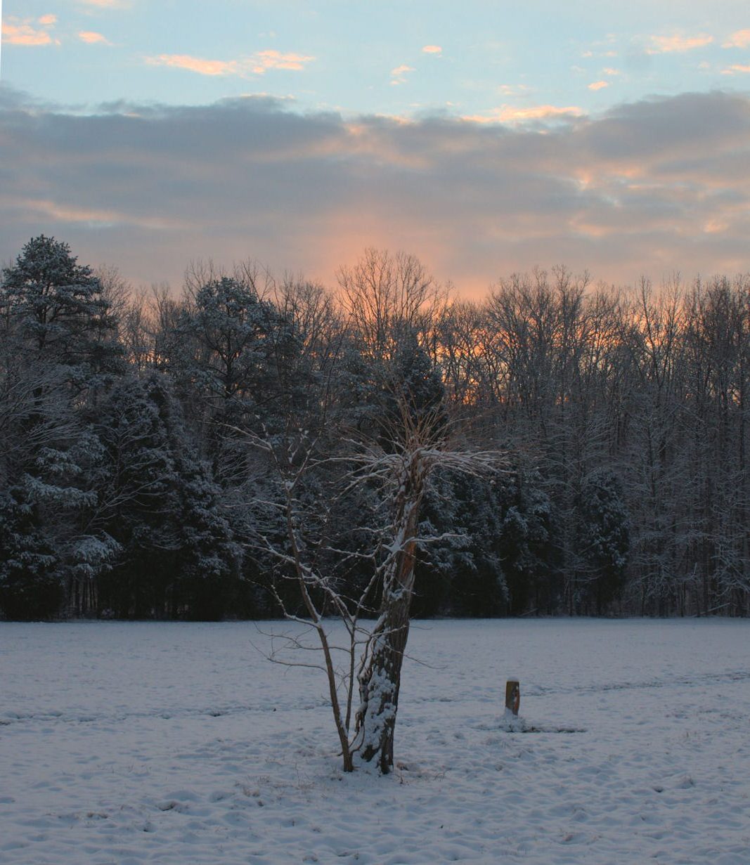 A snowy North Carolina Sunrise…