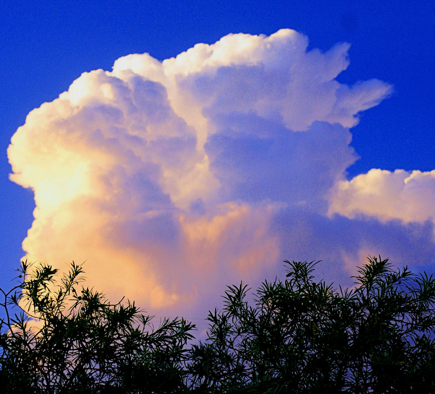 Monsoon Clouds…
