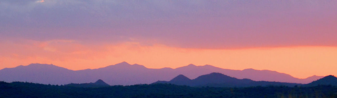 Purple Mountains Majesty