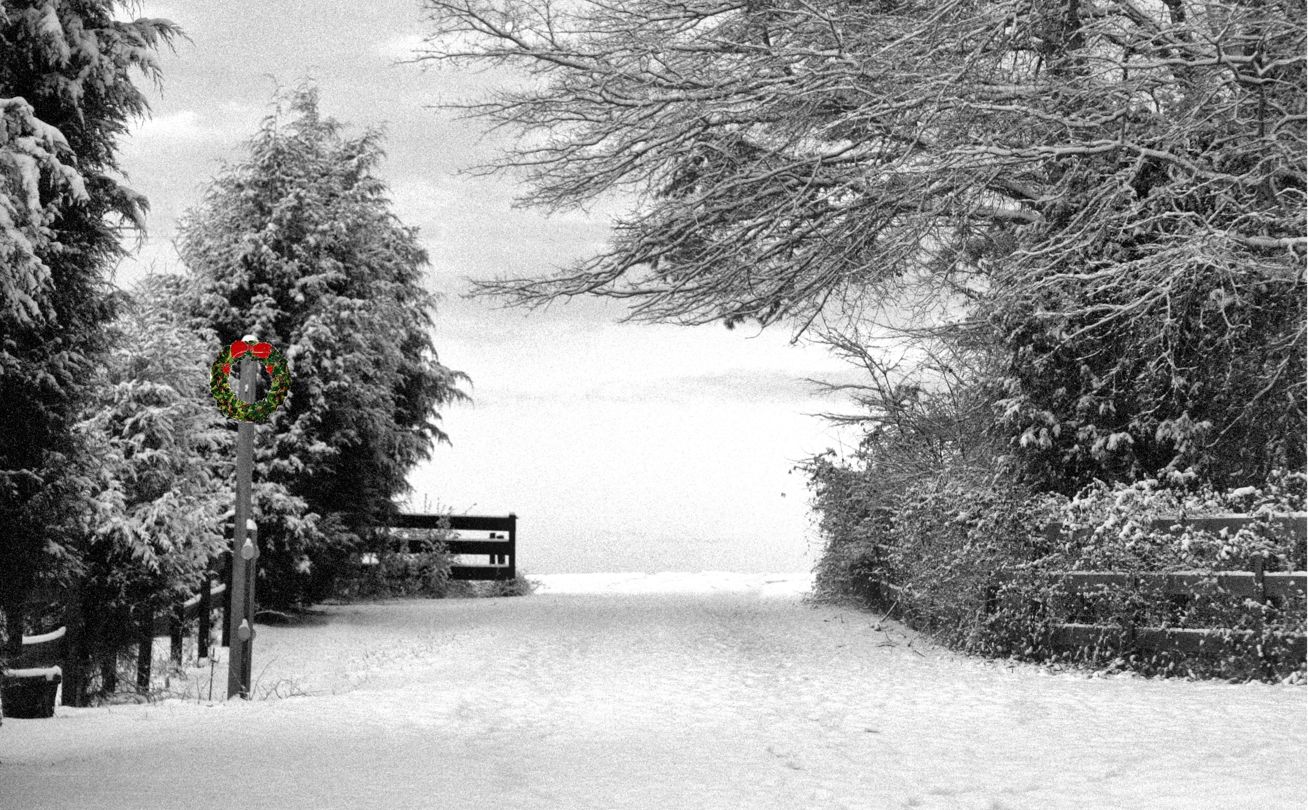 Seasons Greetings….