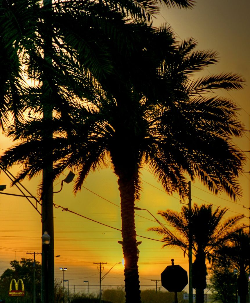 Florida Morning- Urban