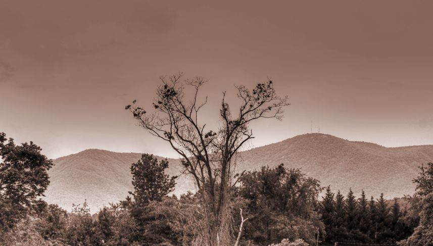 Interpretation- North Carolina Mountains