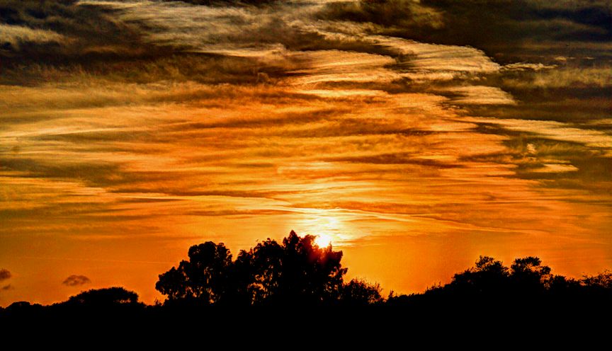 Painted Sunset