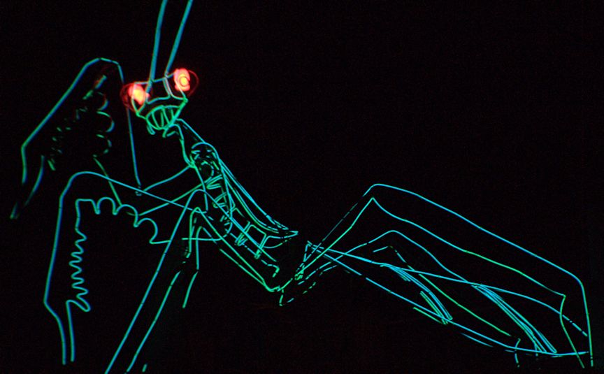 Zoo Lights