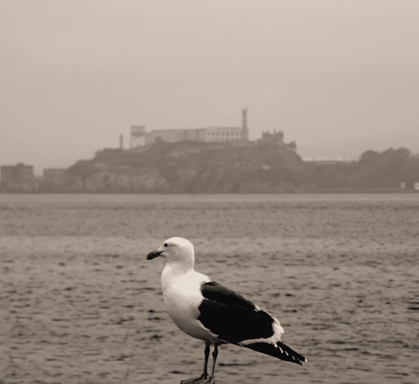 December 5: it was a gray and foggy day in San Francisco…