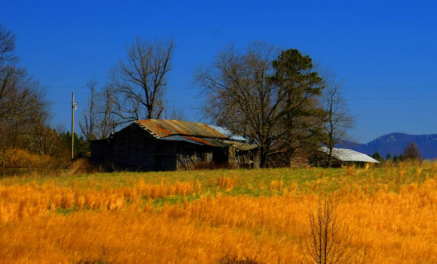 A Journey: North Carolina