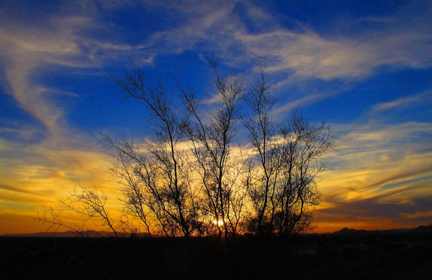 Arizona Sunset