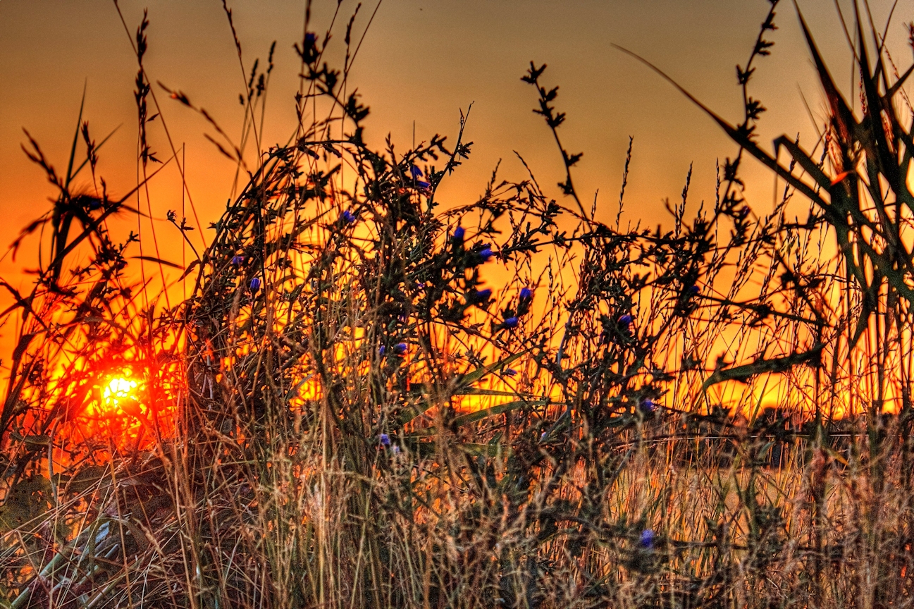 Sunrise: Iowa & Illinois