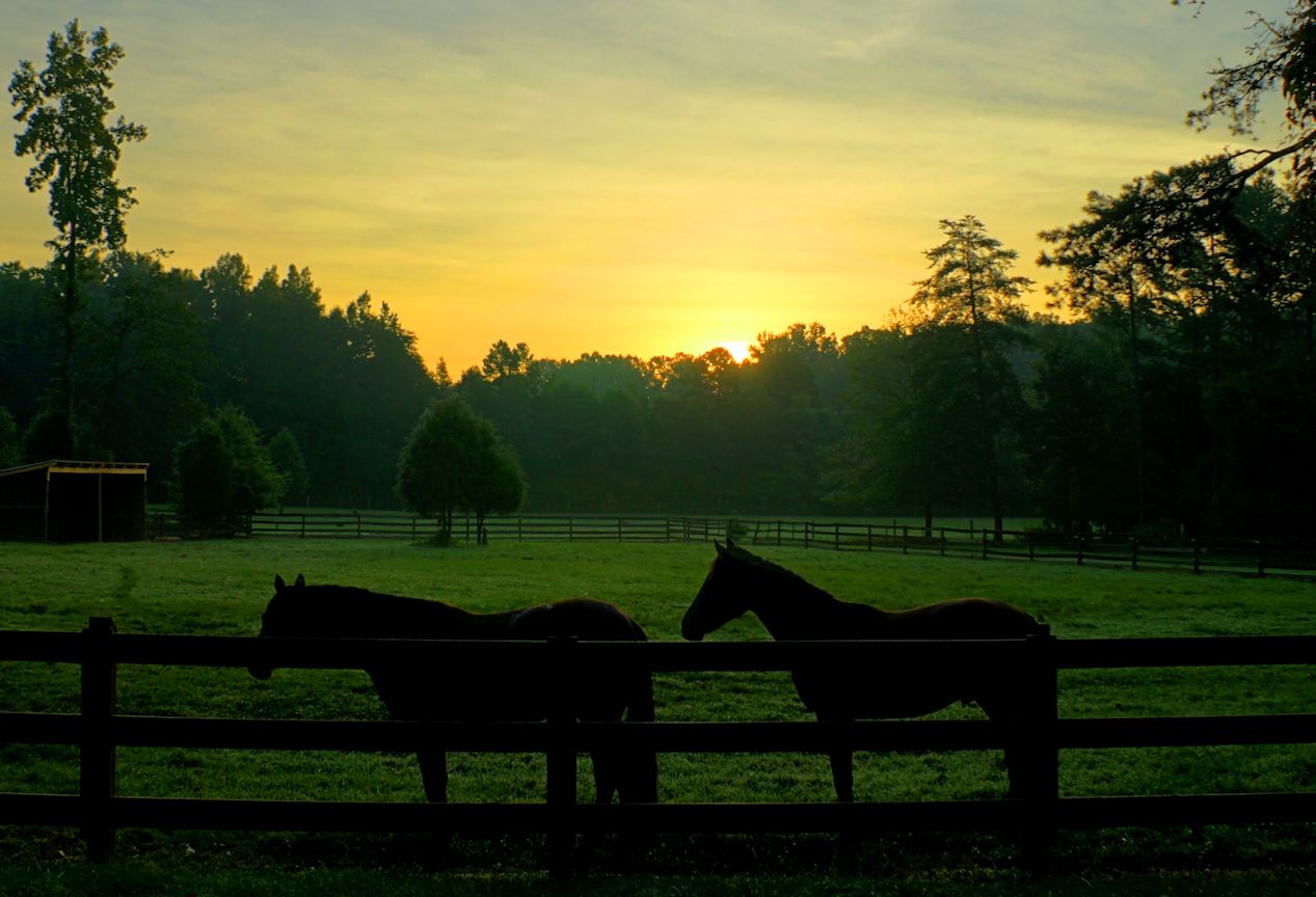 North Carolina Sunrise