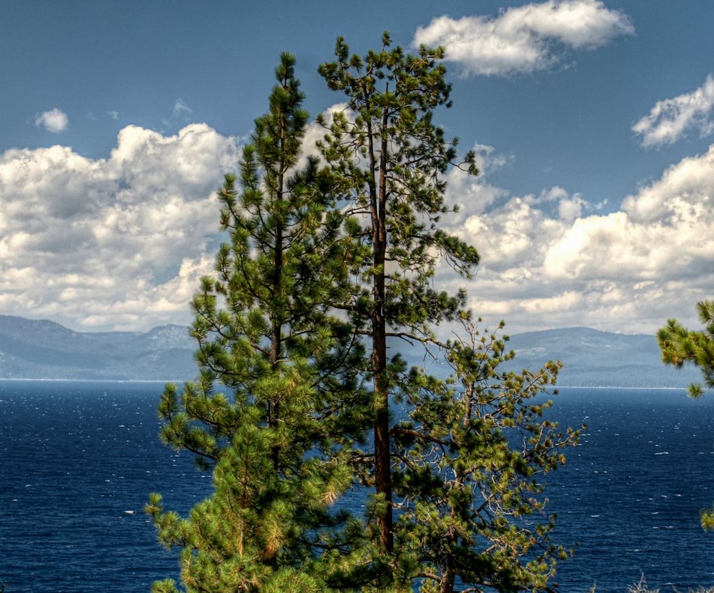 Lake Tahoe- scenic’s in the classic style