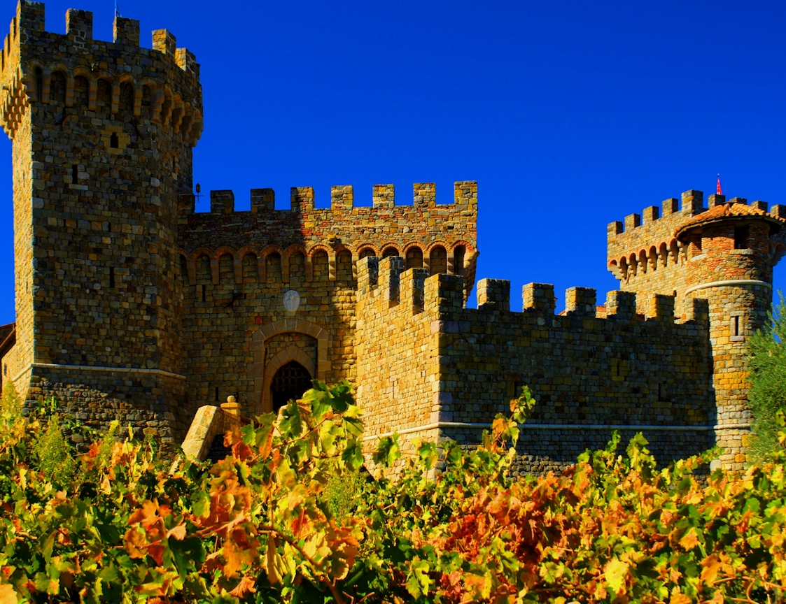 Fall in Napa