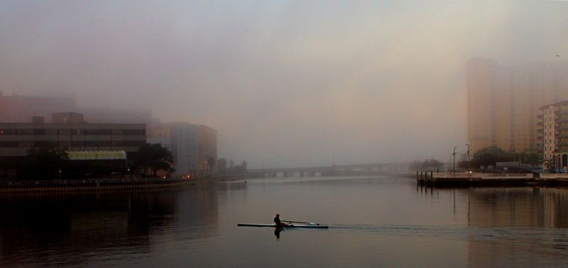 Foggy Tampa mornings…