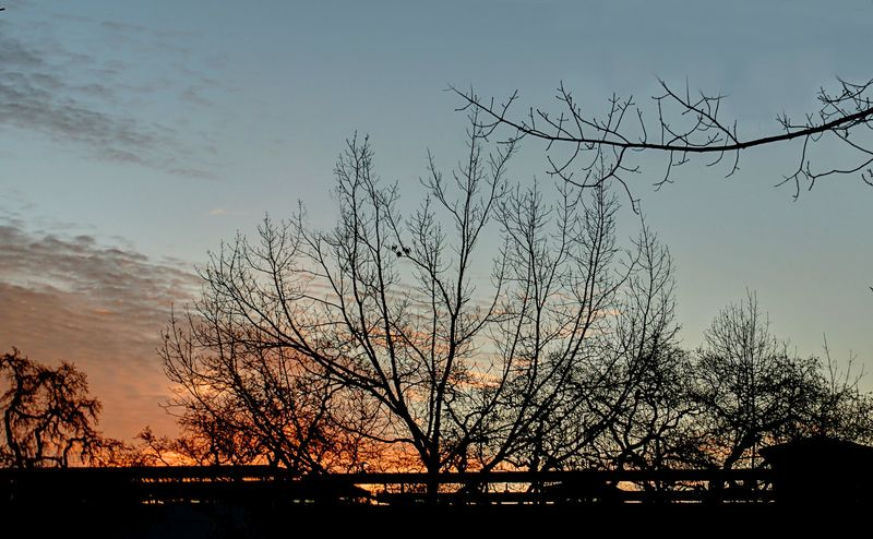 A Sunrise, A Tree, A Cruising Club, A Mirror and Little Boys on a Trampoline: Miscellaneous Images