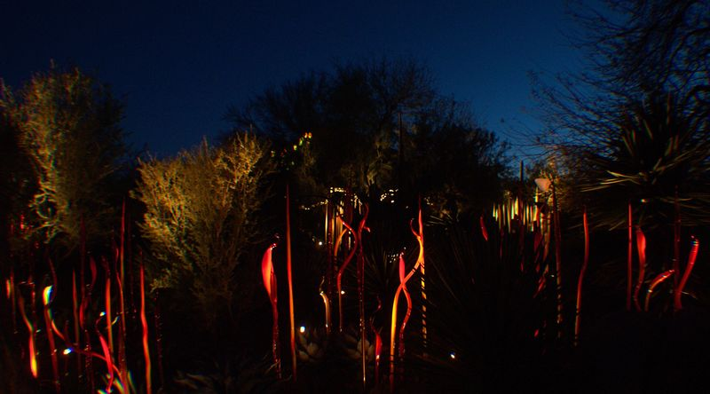 Day into Night: Phoenix Desert Botanical Gardens