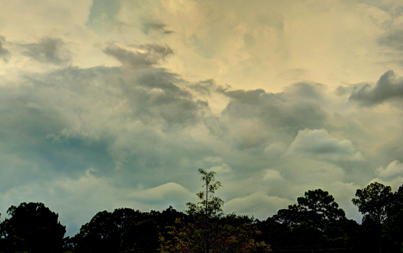 Summer in Tampa