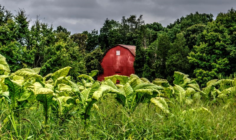 Buildings around North Carolina