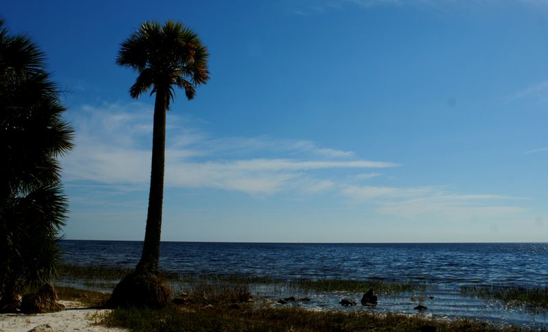 Wandering around Florida