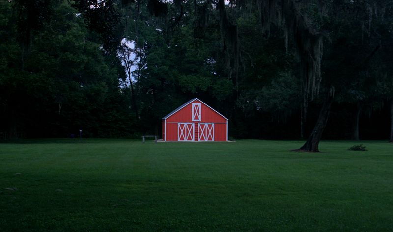 An open field early one morning…