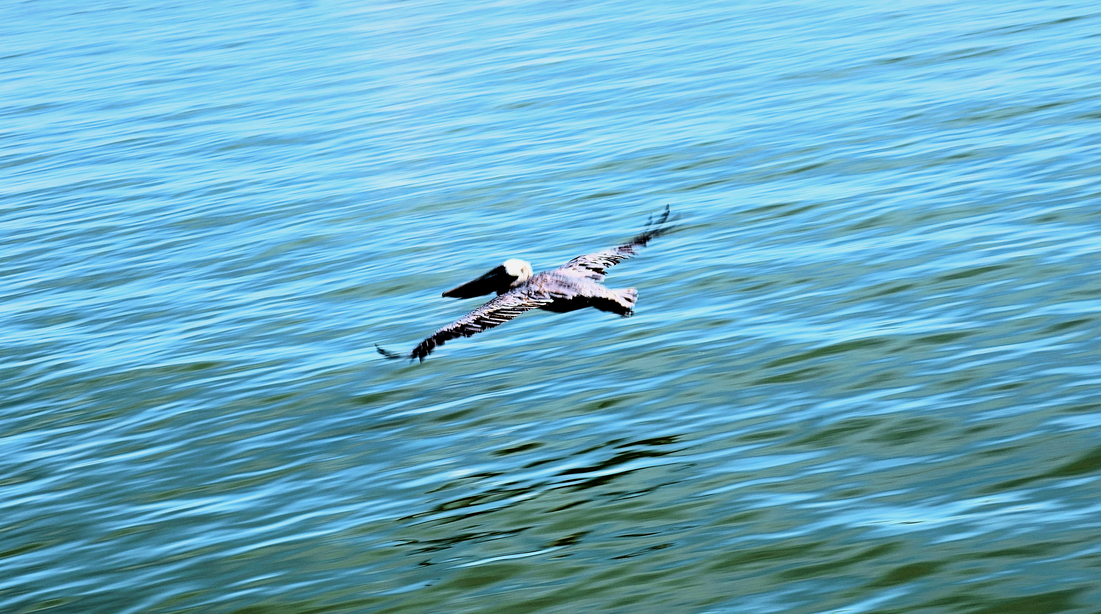 Flight!