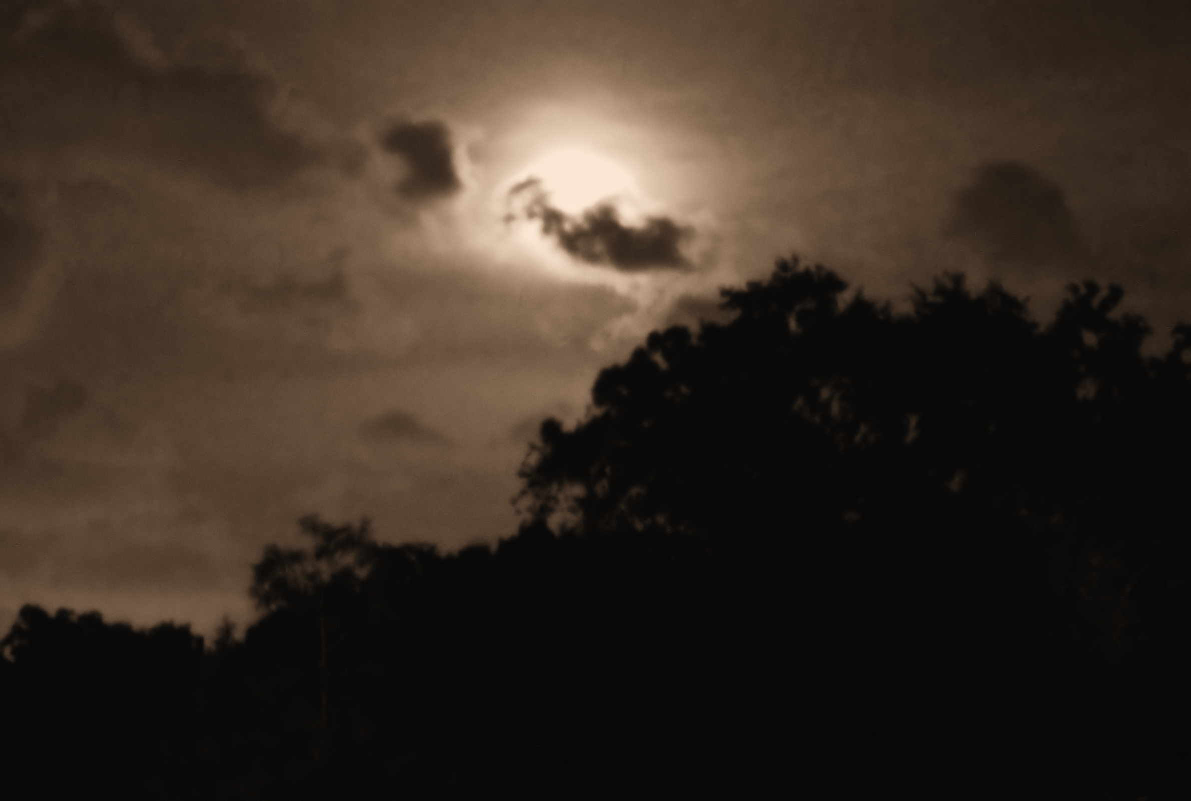 Hither & Yon: Home