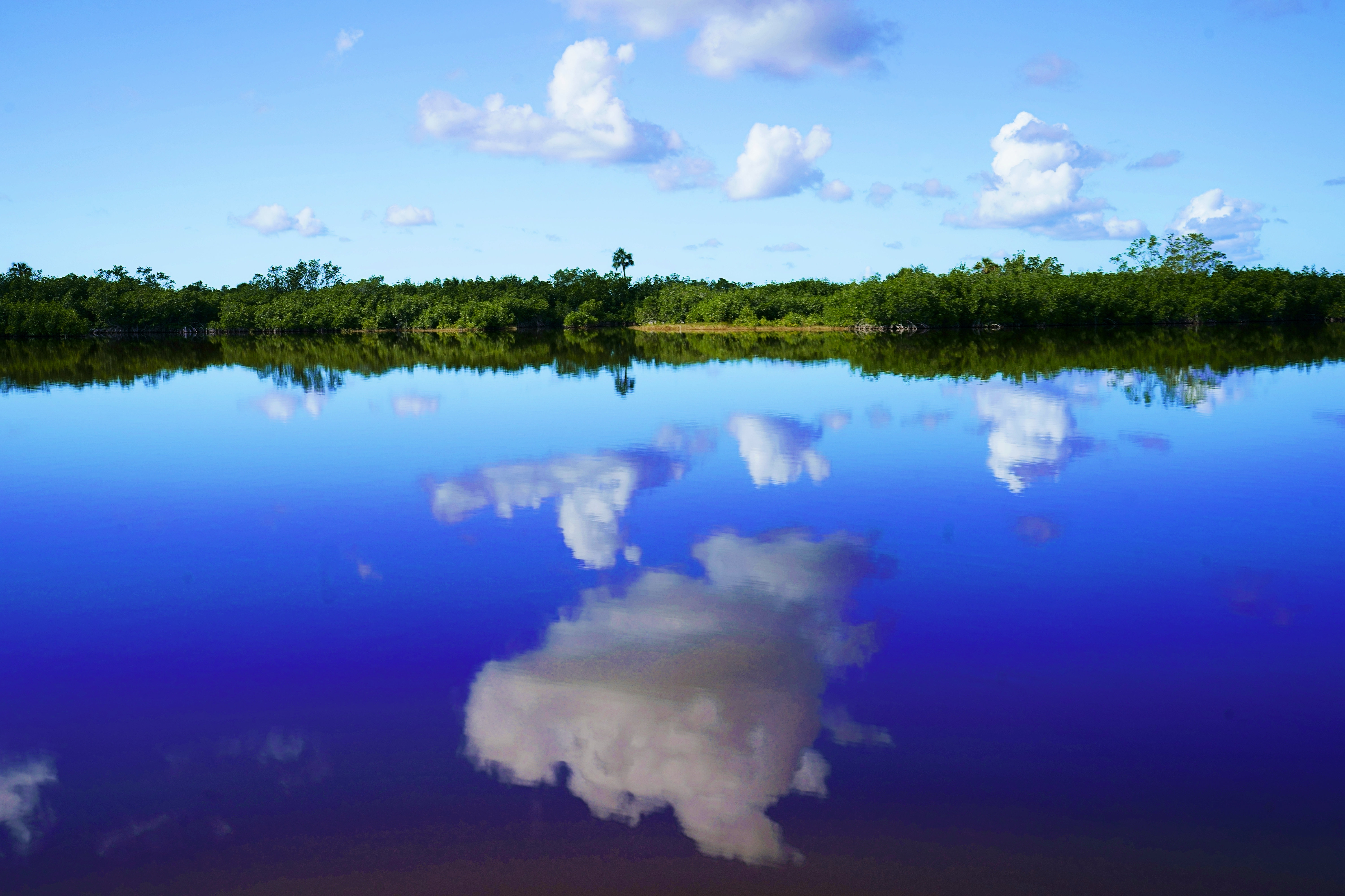 America’s Everglades, Tourist- style