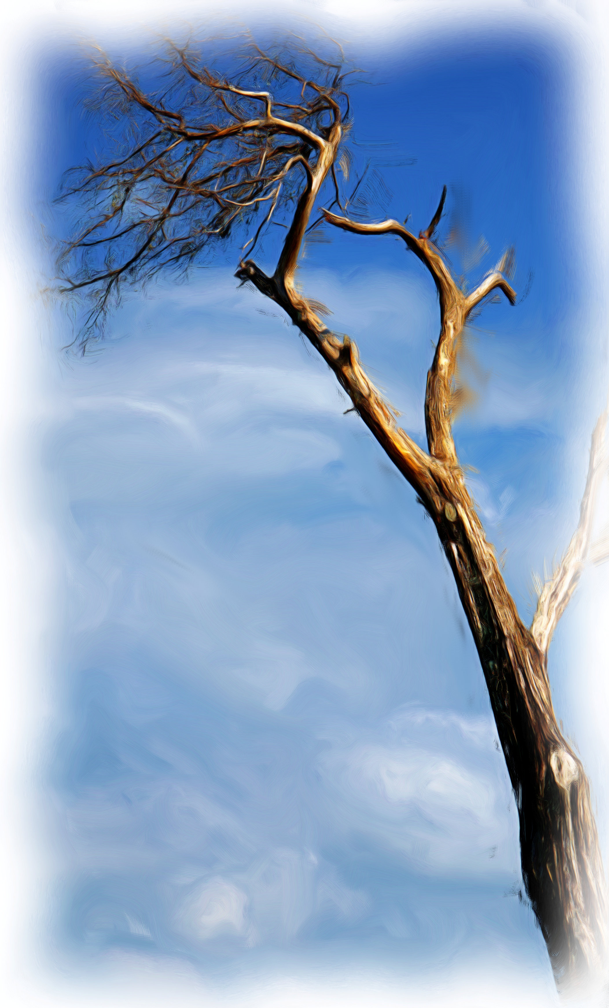 Tree and Clouds as an oil painting