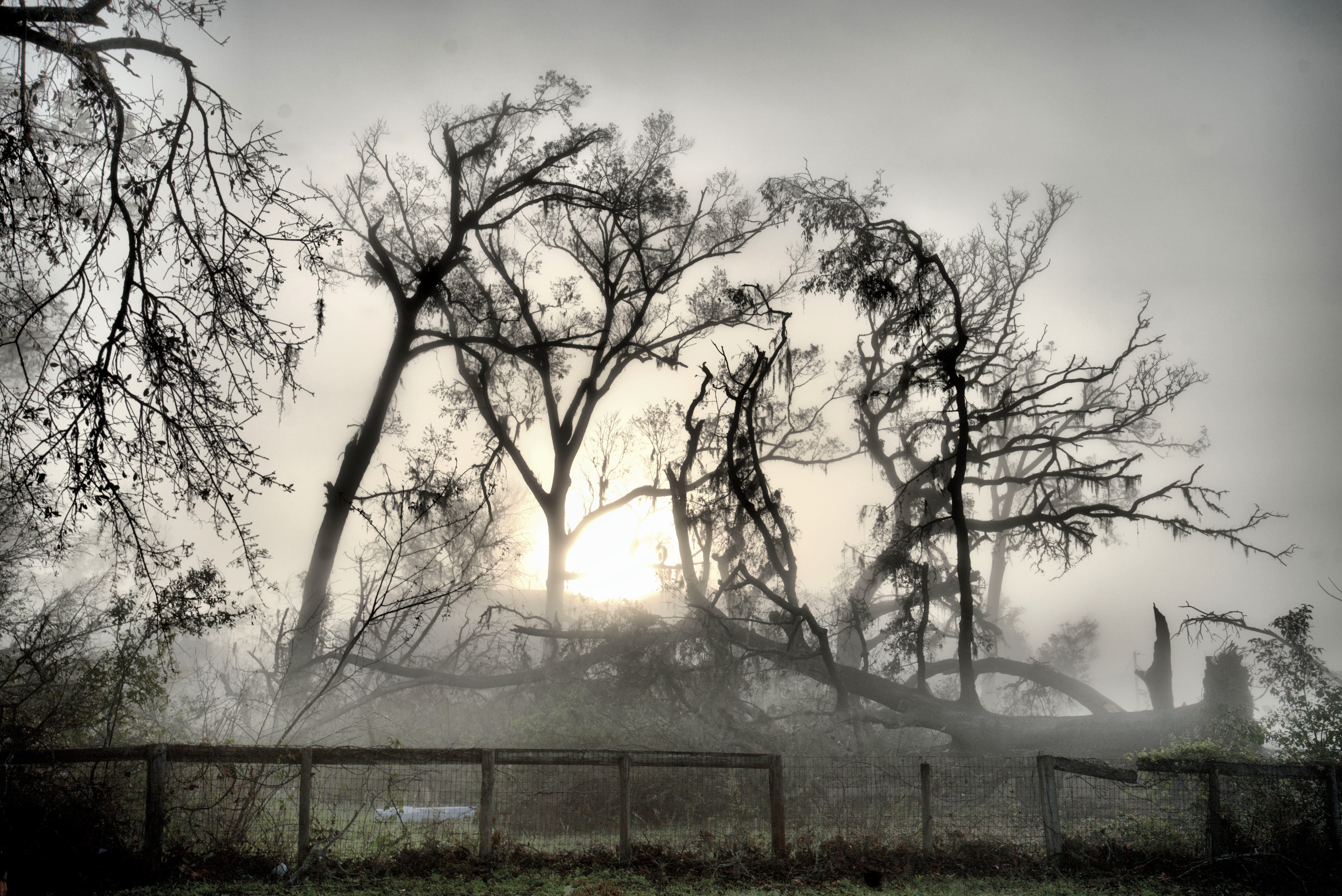 Foggy Morning Tornado Landscape