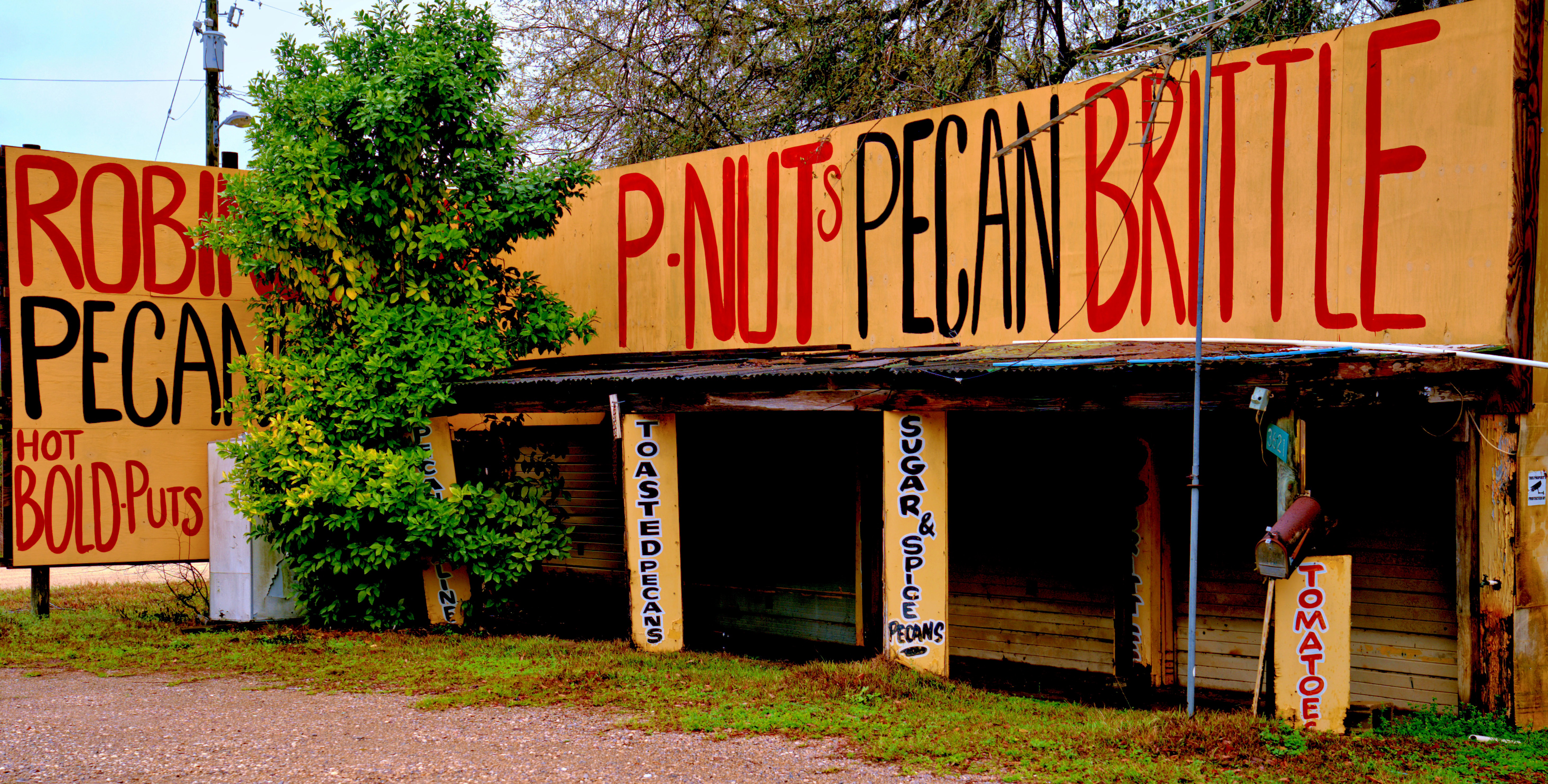 Abandoned- Robinson’s Pecan House