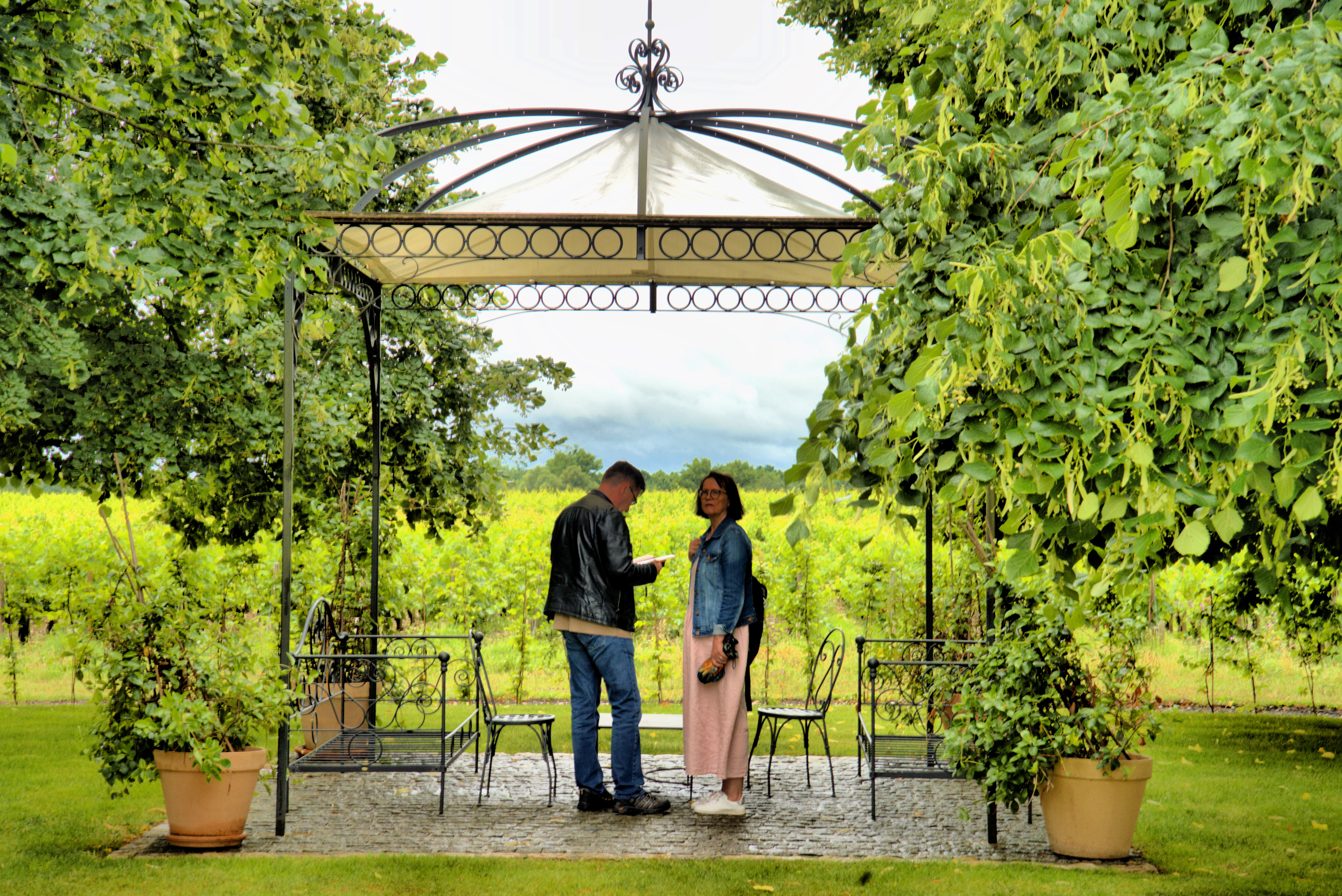 France: Day 5, June 8: Finally wineries