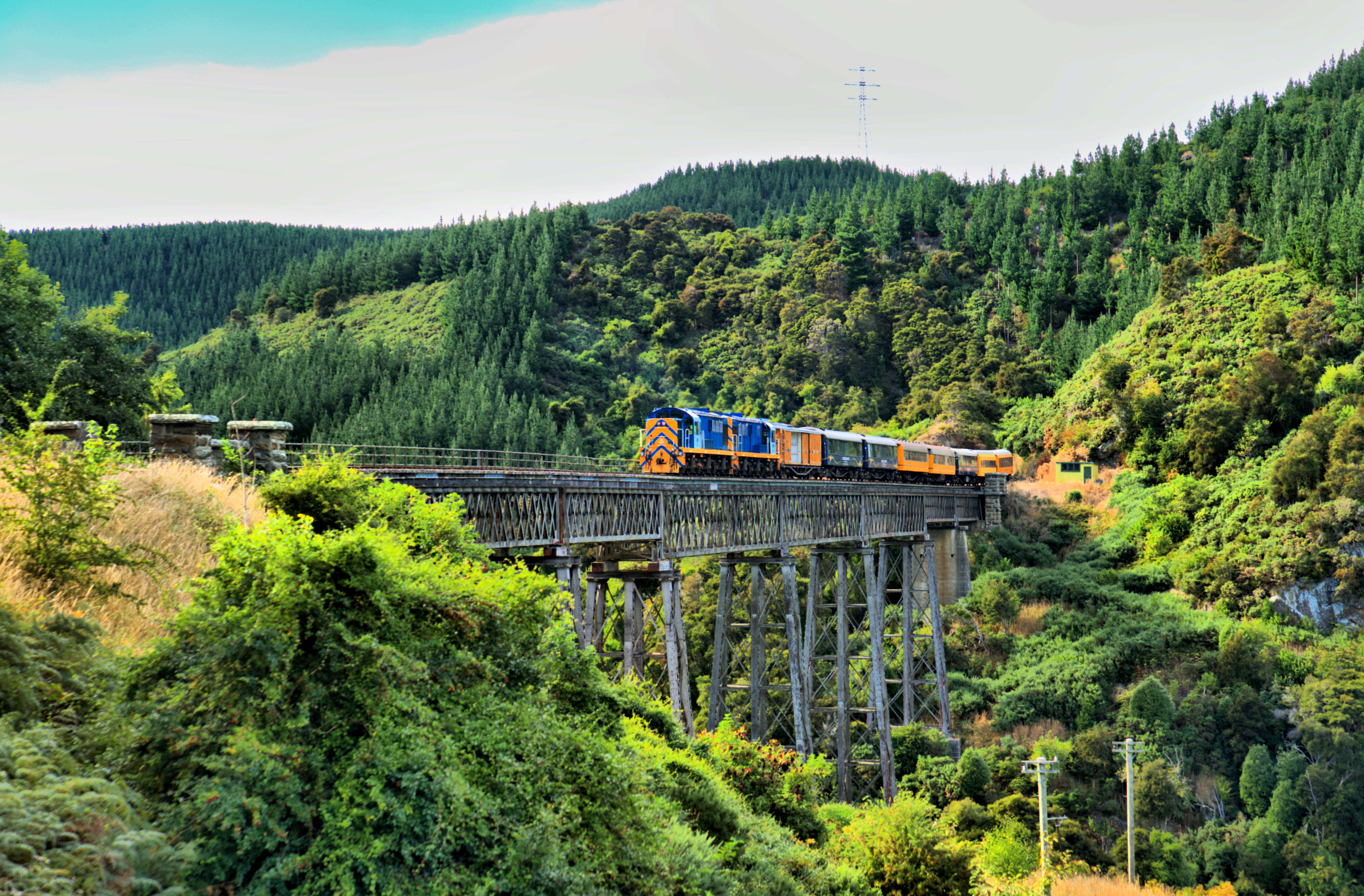 Dunedin, New Zealand: Glorious Scenics, but a big challenge