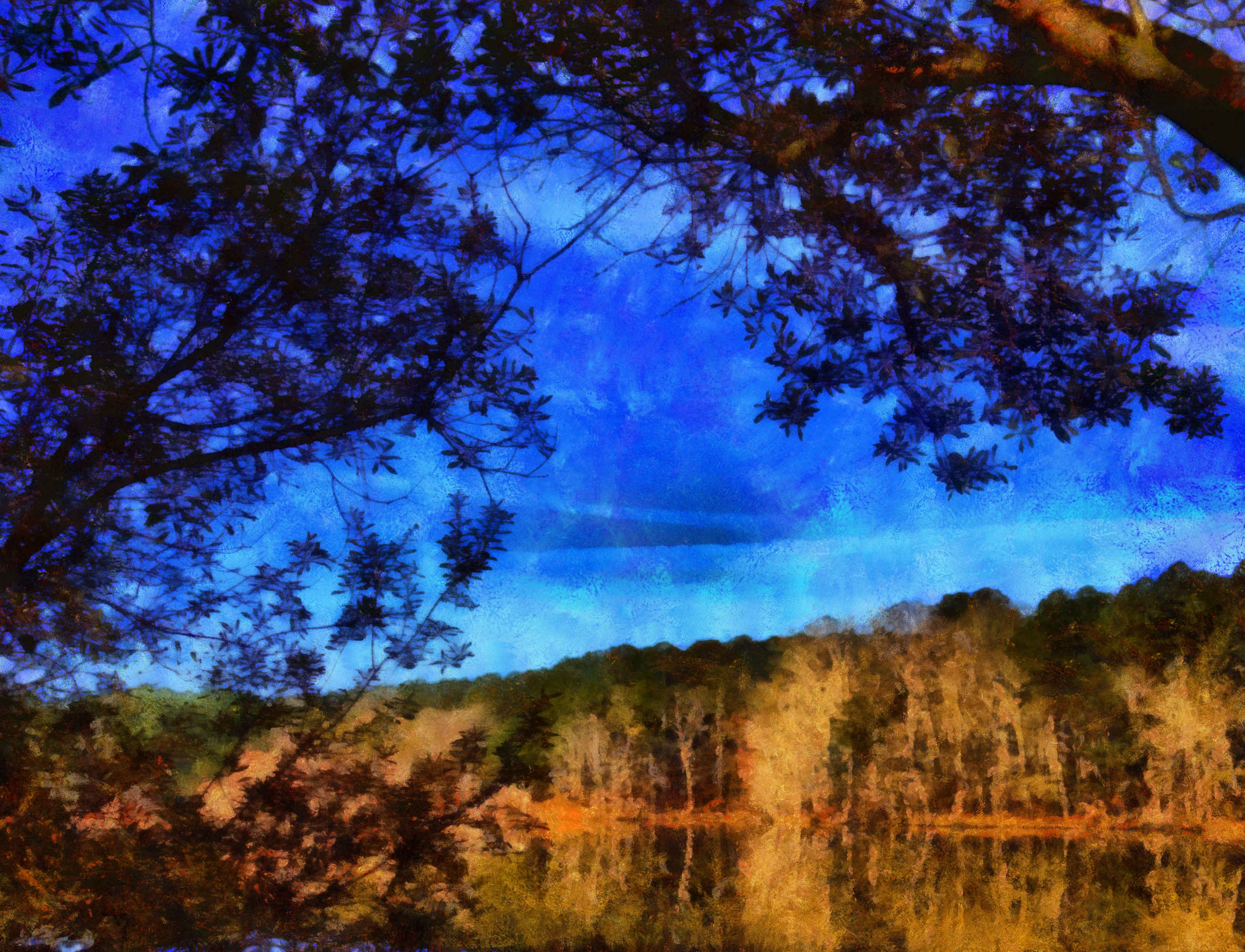 Beautiful Georgia Park on a Beautiful Morning