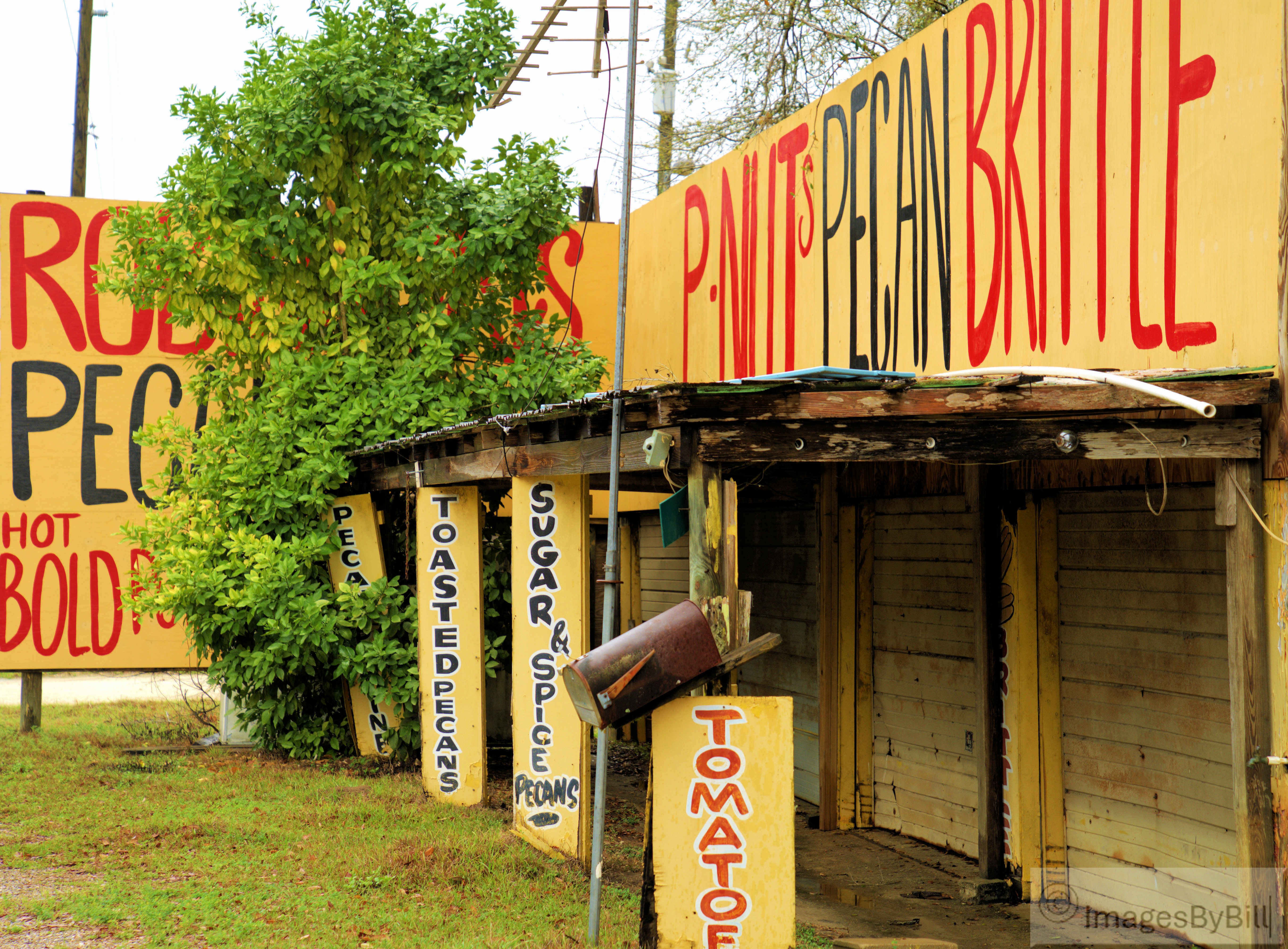 Robinson’s Pecan House: A Florida Treasure Lost
